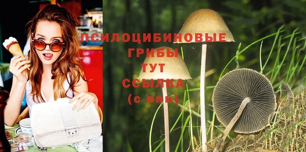 spice Горняк