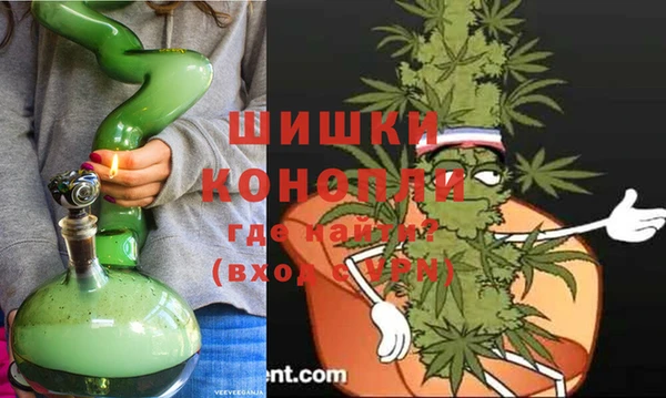 spice Горняк