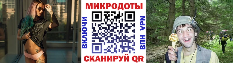 Псилоцибиновые грибы прущие грибы  купить закладку  Лениногорск 